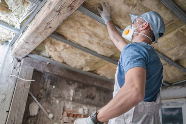 Best Best Insulation Companies  in Grabill, IN