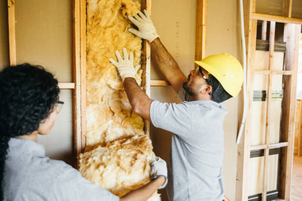 Best Fiberglass Insulation  in Grabill, IN